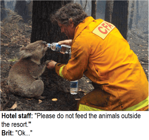 please dont feed the animals outside the hotel